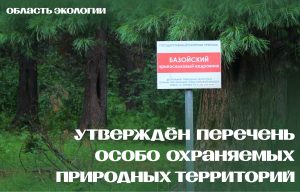 ������������� ����������� ������� �������